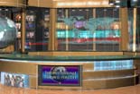Click here for virtual news set designs.